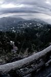 IMG 9499